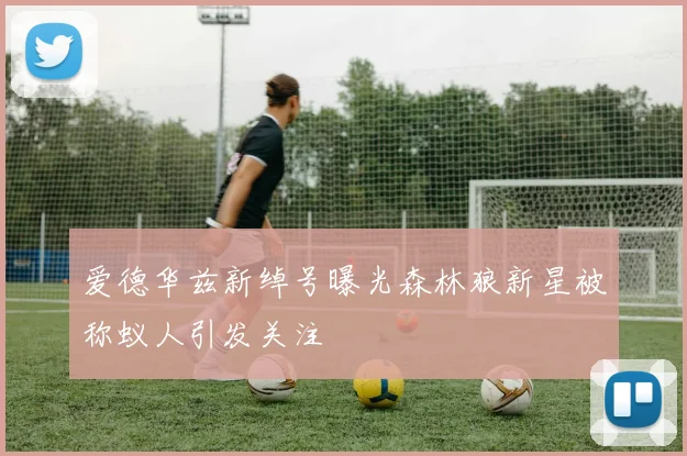 爱德华兹新绰号曝光森林狼新星被称蚁人引发关注