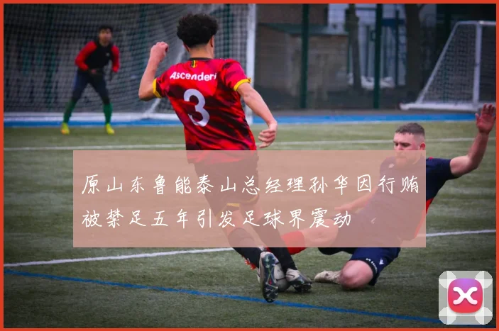 原山东鲁能泰山总经理孙华因行贿被禁足五年引发足球界震动