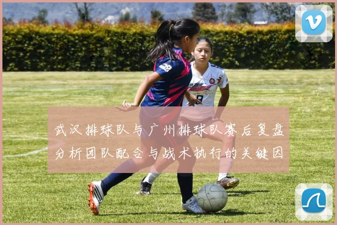 武汉排球队与广州排球队赛后复盘分析团队配合与战术执行的关键因素